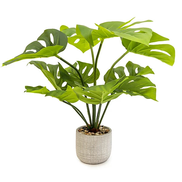 Candlelight Green 50cm Cheese plant Artificial plant in Grey Ceramic Pot