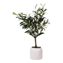 Green 58cm Olive Artificial plant in Cream Speckled Ceramic Pot