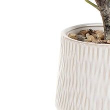 Green 62cm Eucalyptus Artificial plant in Natural Ceramic Pot