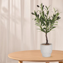 Green 53cm Olive Artificial plant in Grey Ceramic Pot