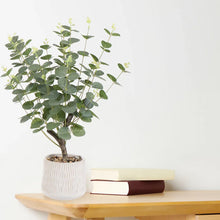 Green 62cm Eucalyptus Artificial plant in Natural Ceramic Pot