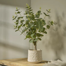Green 62cm Eucalyptus Artificial plant in Natural Ceramic Pot