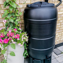 Ward Stand & downpipe connector, 210L Water butt