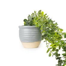 50cm Eucalyptus Artificial plant in Grey Ceramic Pot