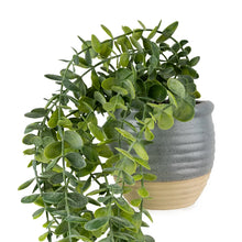 50cm Eucalyptus Artificial plant in Grey Ceramic Pot